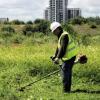 grounds clearance