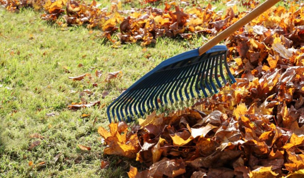 Advice: Top Tips to Get Your Garden Ready For Winter