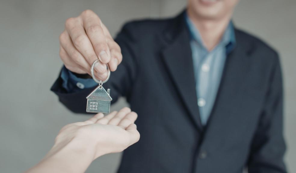 Avocado Property Sales