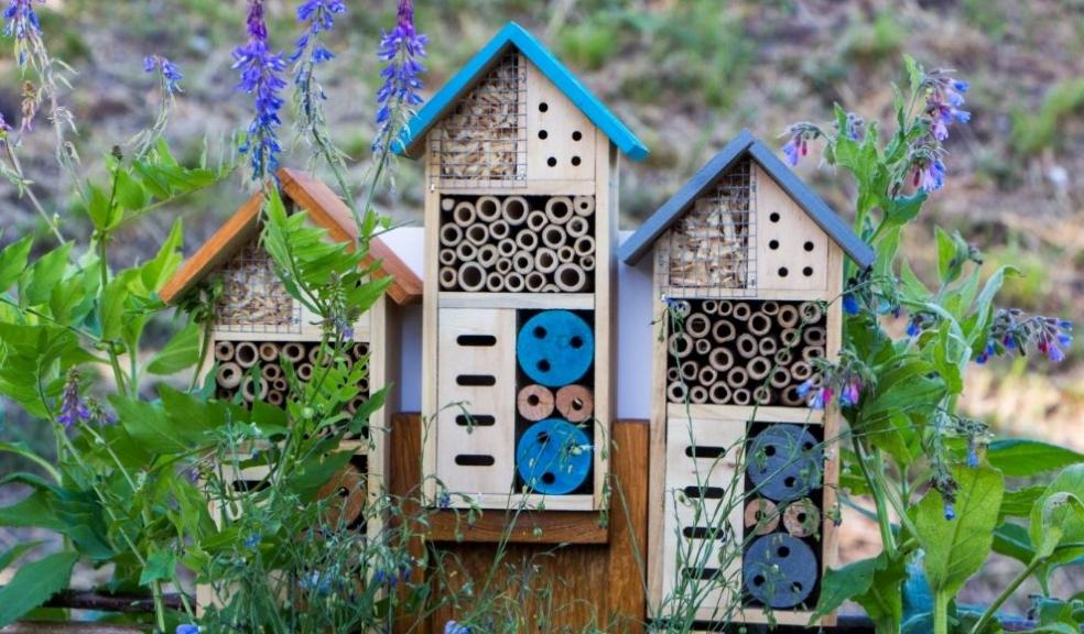 Bug houses