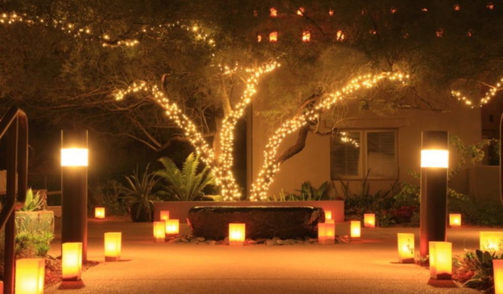 Turn your garden into a winter wonderland Turn your garden into a winter wonderland