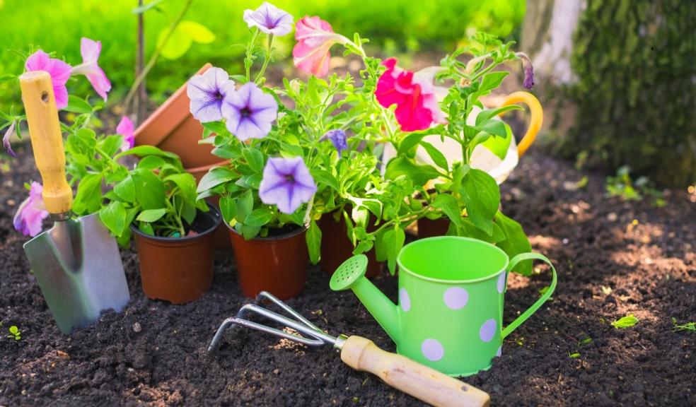 Gardening Gardening