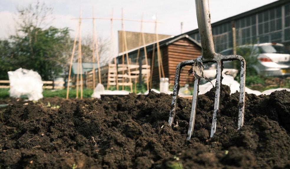 Gardening Gardening