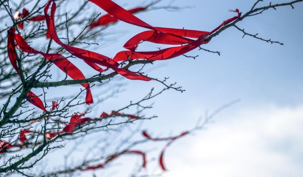 Housing red tape Housing red tape