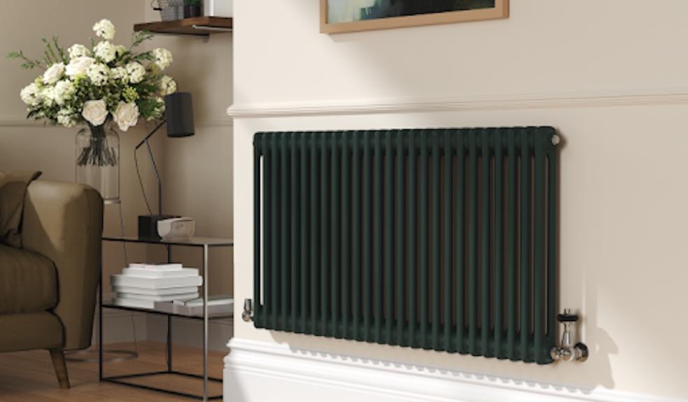 (Reggio Evergreen Horizontal Double Column Traditional Radiator) 