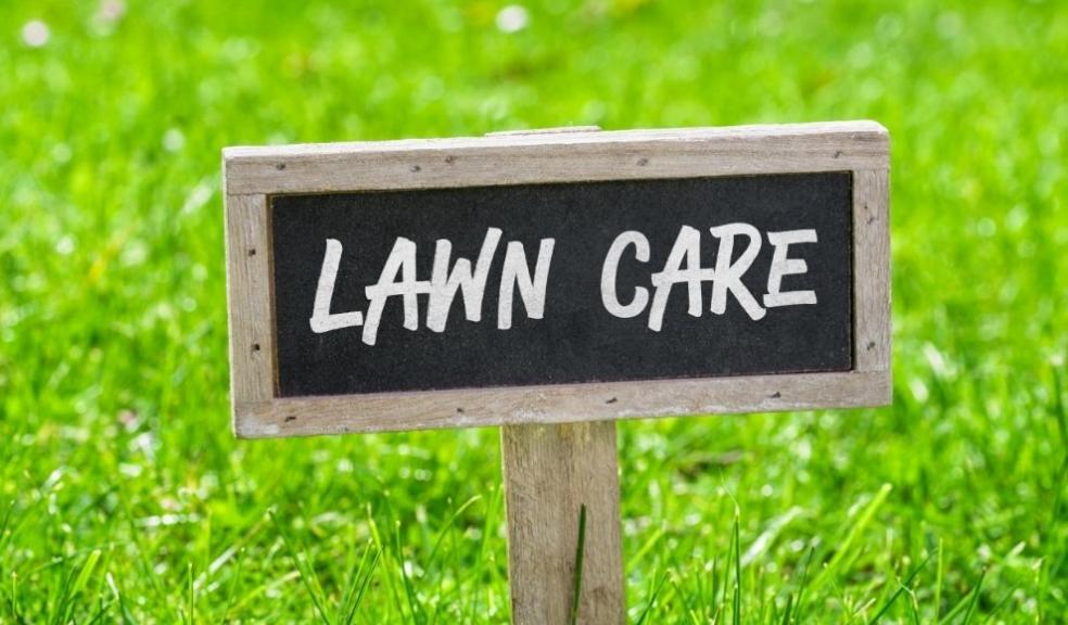 Lawn Care 