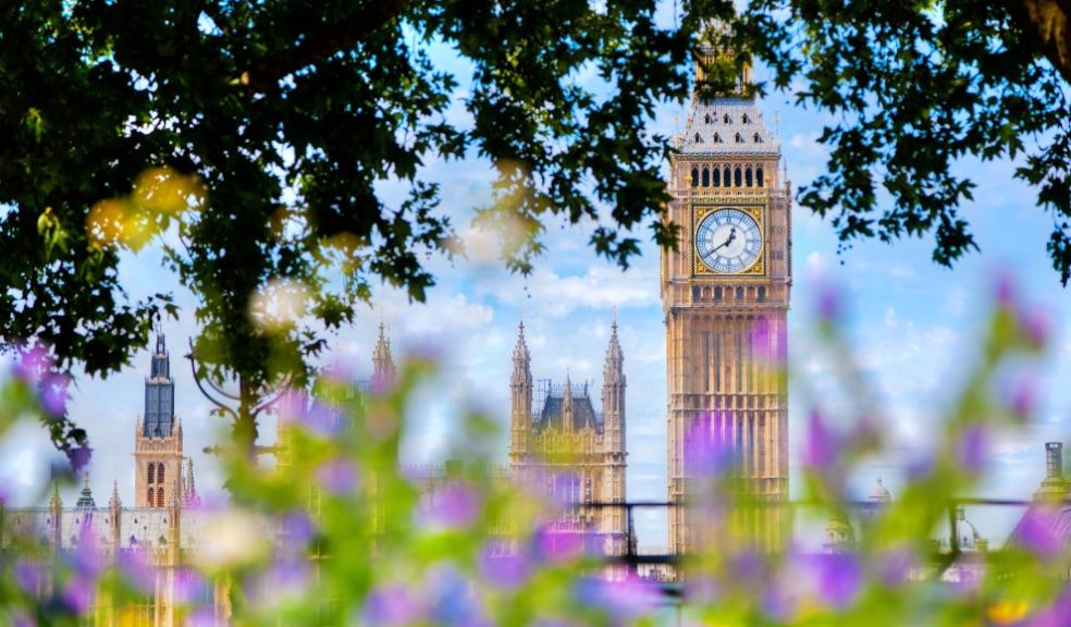 London Borough Gardens