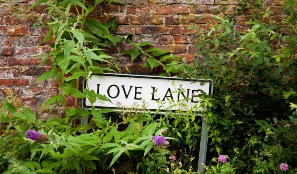 Love Lane 