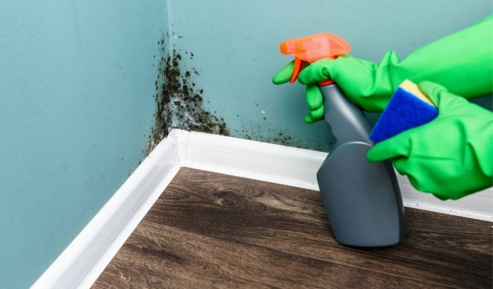 Mould