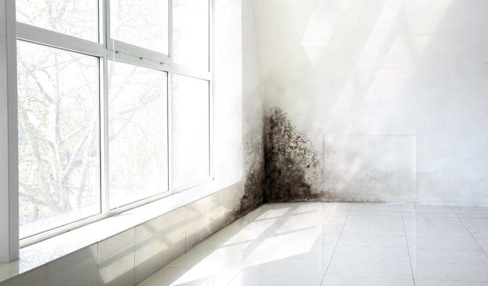 Mouldy Houses Mouldy Houses