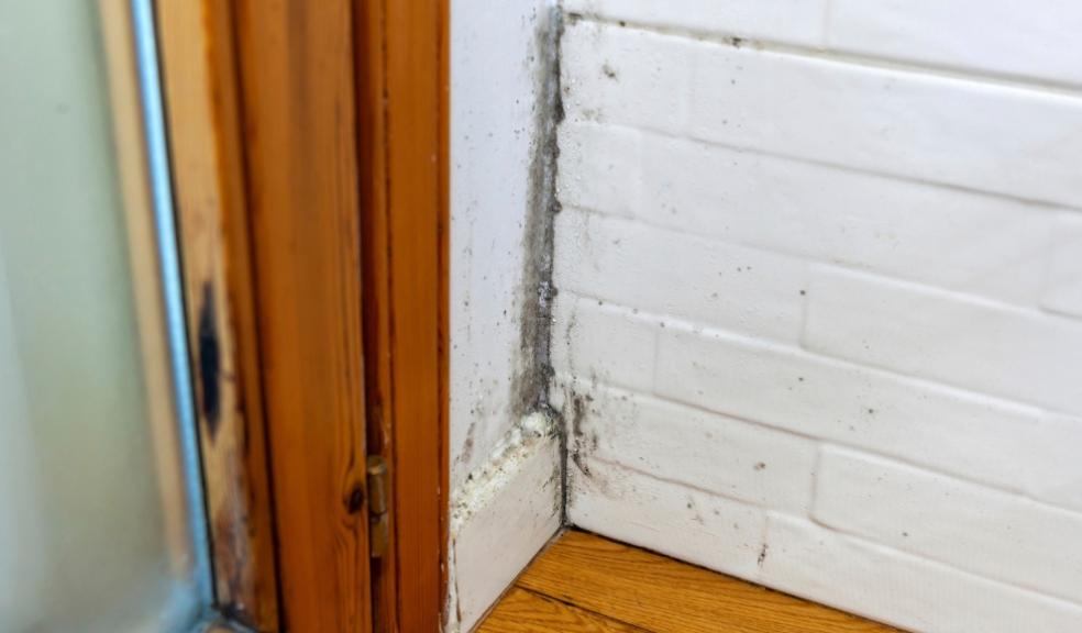 Mouldy property Mouldy property