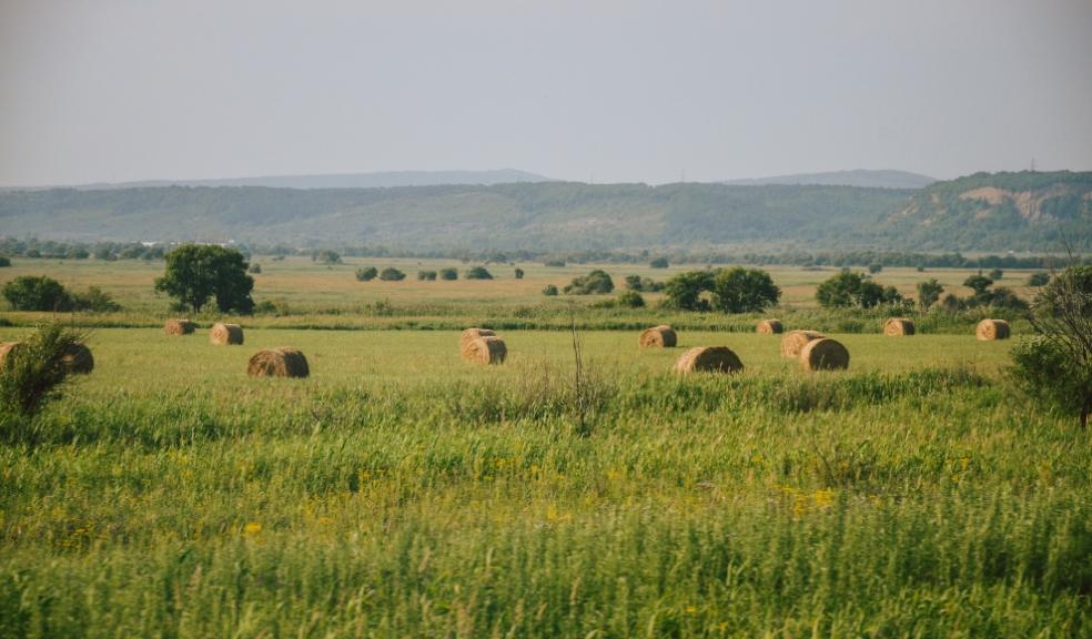 Rural Housing Rural Housing