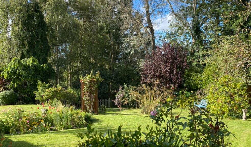 Rural properties often have septic tank systems in the garden