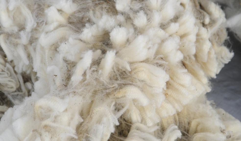 Sheeps Wool