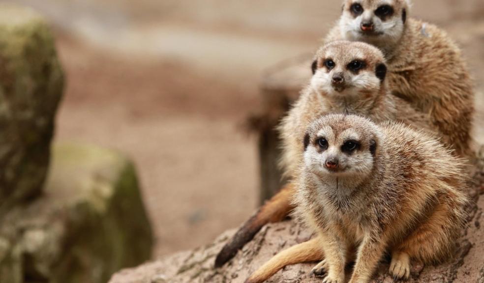 UK Attractions