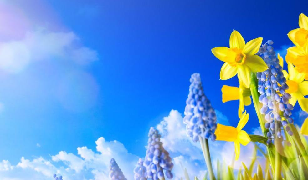 Spring
