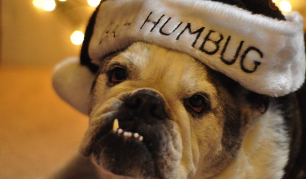 Bah Humbug Bah Humbug