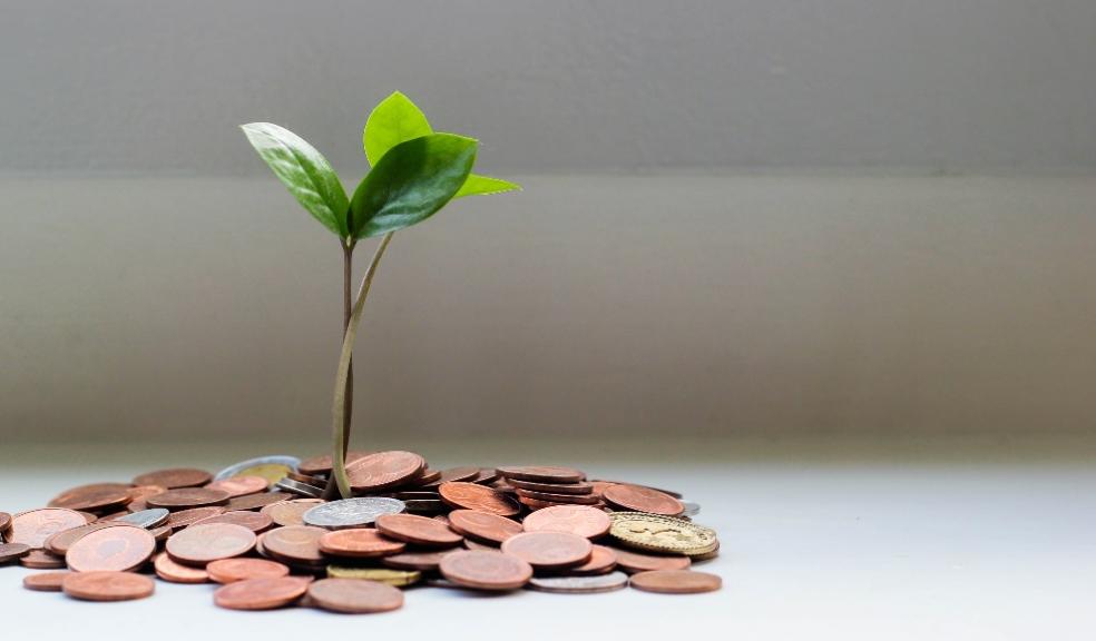 cash with plant growing out of it cash with plant growing out of it