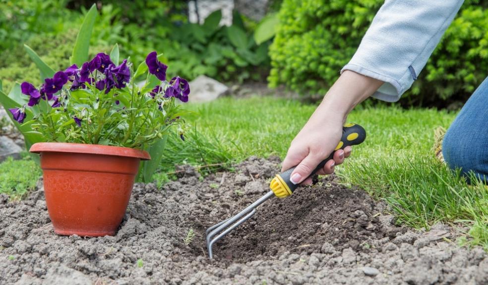 gardening dos and donts property gardening dos and donts property