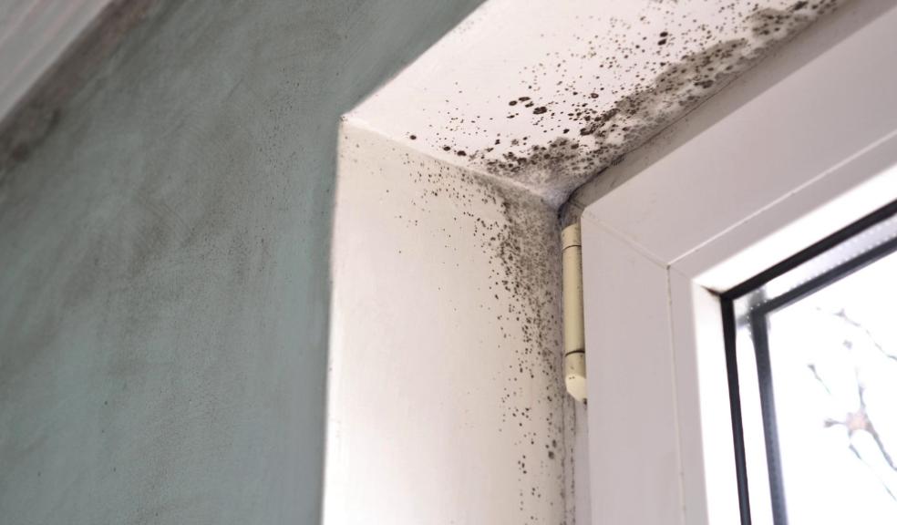 mould in houses mould in houses