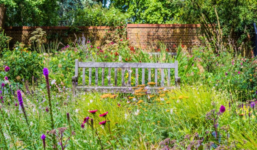 property with wild meadows and veg patches garden