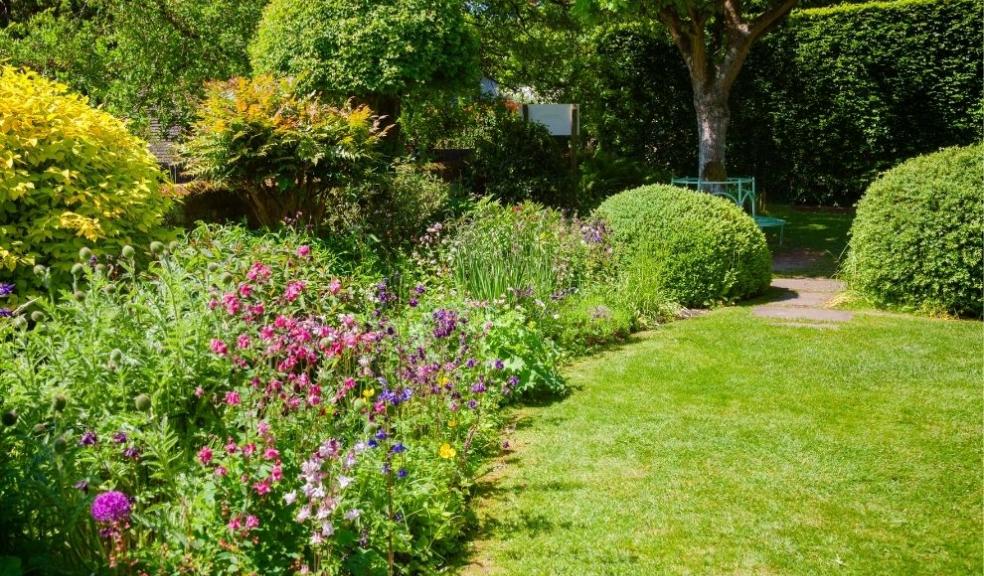 Summer English Garden