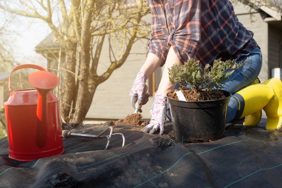 Homebuyers set to spend thousands on home improvements in 2022 garden property