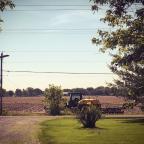 Country living Country living