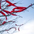 Housing red tape