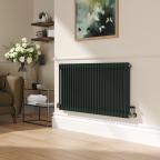 (Reggio Evergreen Horizontal Double Column Traditional Radiator) 