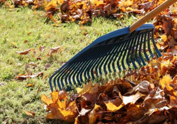 Advice: Top Tips to Get Your Garden Ready For Winter Advice: Top Tips to Get Your Garden Ready For Winter