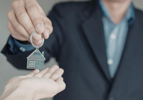 Avocado Property Sales