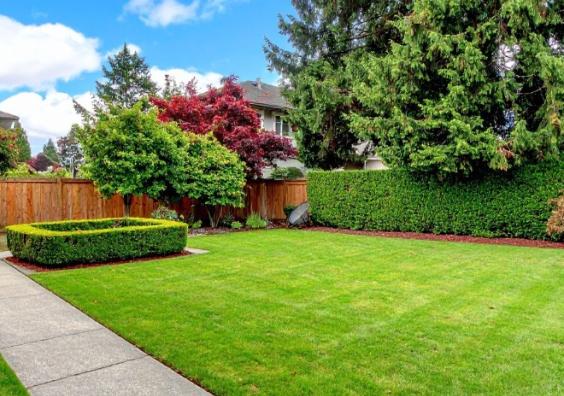 Garden lawns recovery Garden lawns recovery