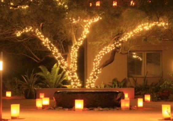 Turn your garden into a winter wonderland Turn your garden into a winter wonderland
