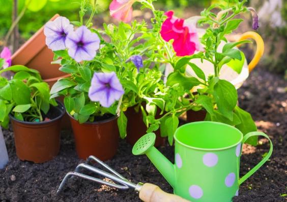 Gardening