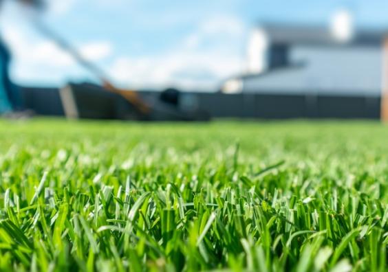 Lawn care