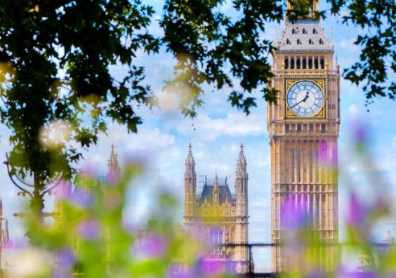 London Borough Gardens