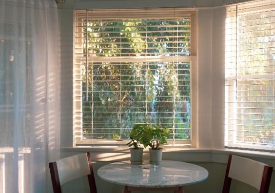 Top indoor plants to boost your wellbeing Top indoor plants to boost your wellbeing
