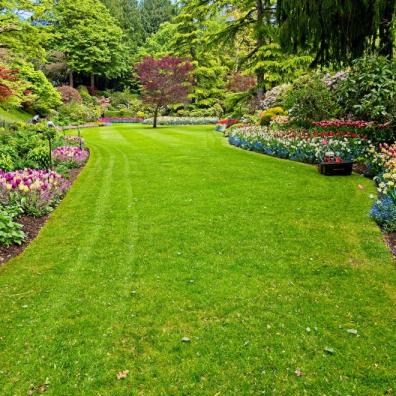 Back Gardens