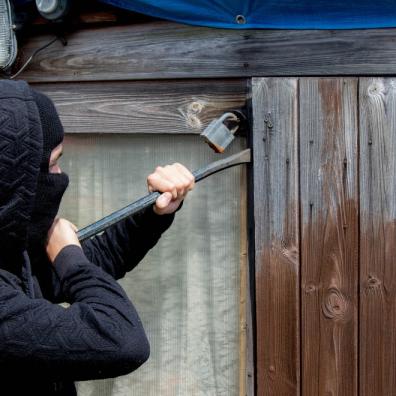 Burglars