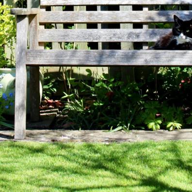 Design a garden with top tips