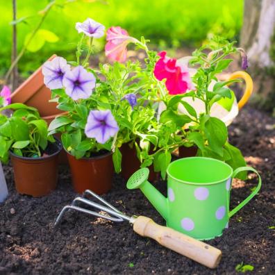 Gardening