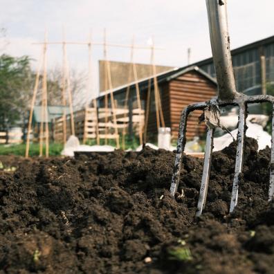 Gardening