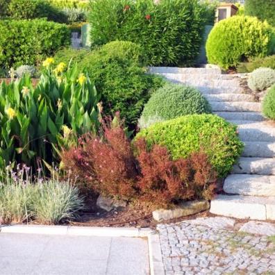 Landscaped Garden