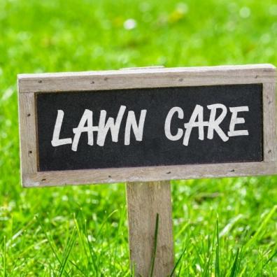 Lawn Care 