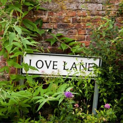 Love Lane 