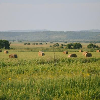 Rural Housing