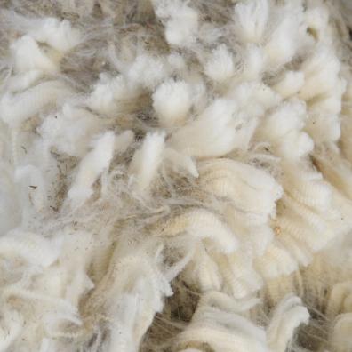 Sheeps Wool