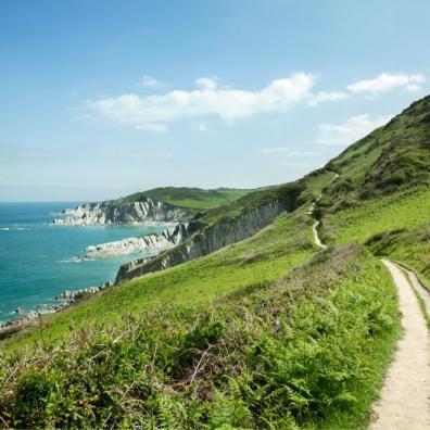 South West Coastal Pathway, Mortehoe, Devon