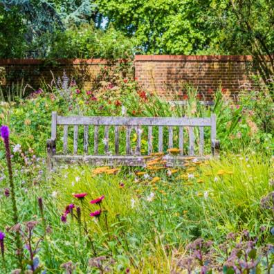 property with wild meadows and veg patches garden